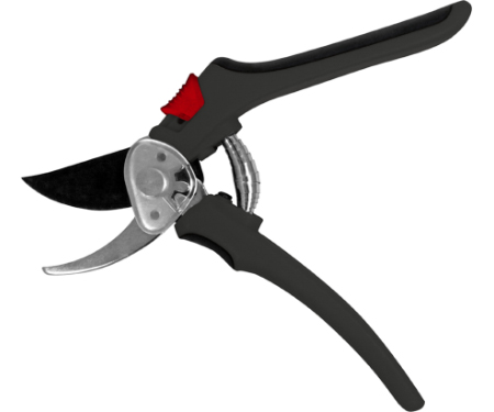 C100 443